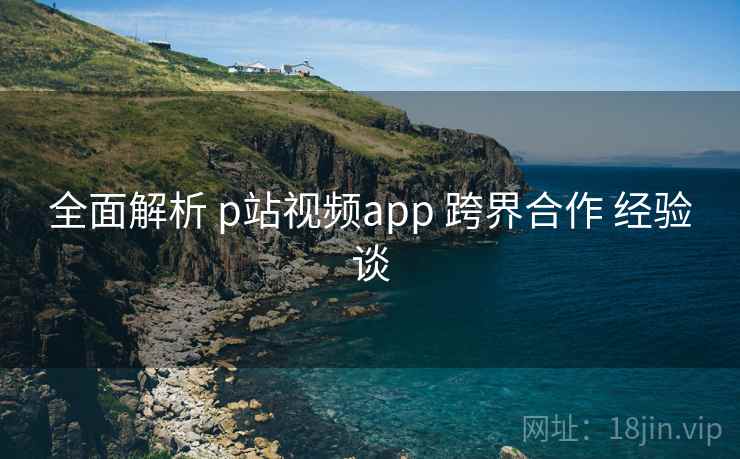 全面解析 p站视频app 跨界合作 经验谈