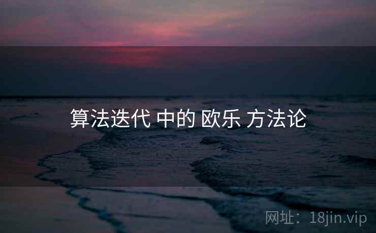 算法迭代 中的 欧乐 方法论